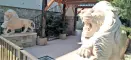 在歐洲的法國南部佩皮尼昂出售帶游泳池和水療中心的賓館 - 2022 (12).webp